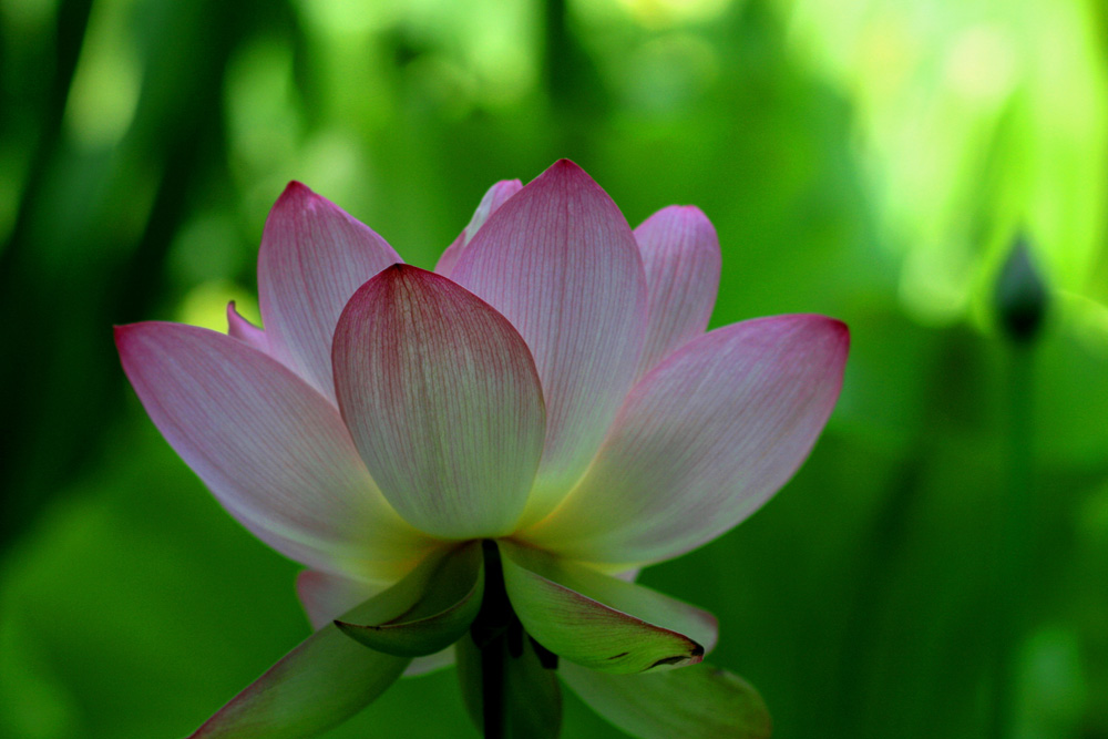 Copy (1) of Copy (1) of IMG_3343.JPG