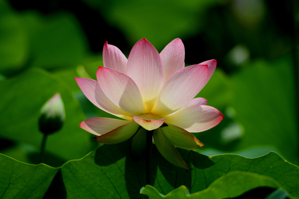 Copy (1) of Copy (1) of IMG_3629.JPG