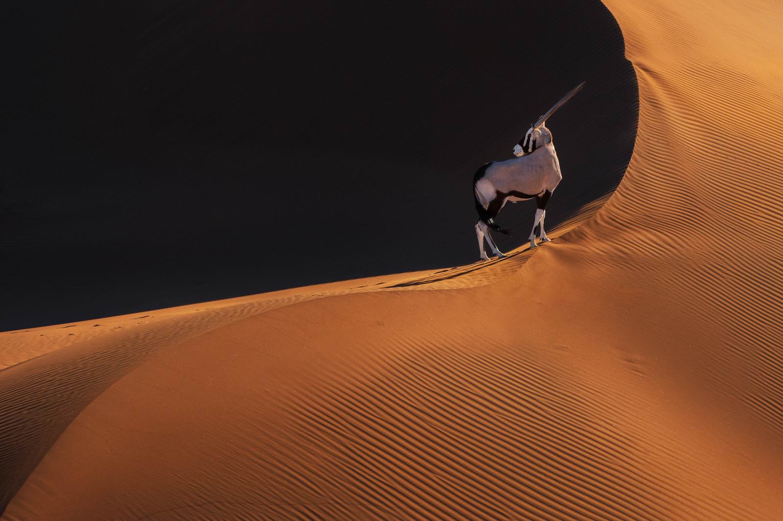 024_Impression of Namobia.jpg