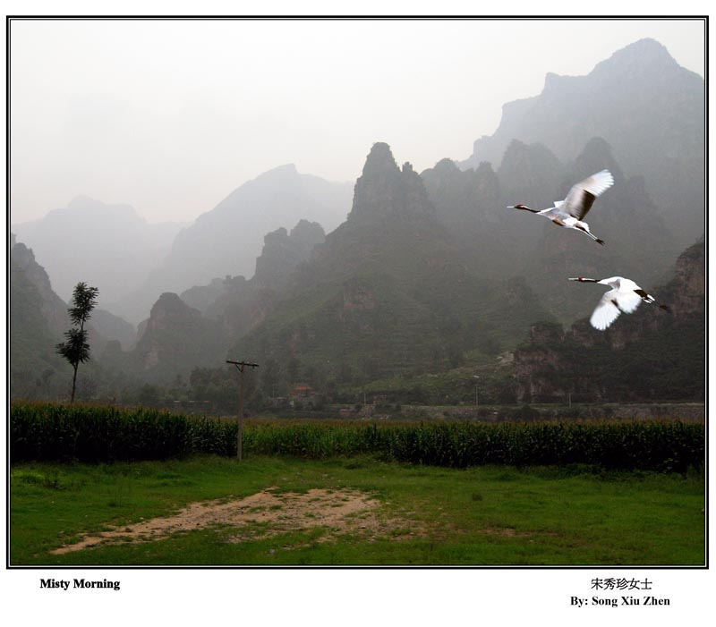 187  NISTY MORNING ok.jpg