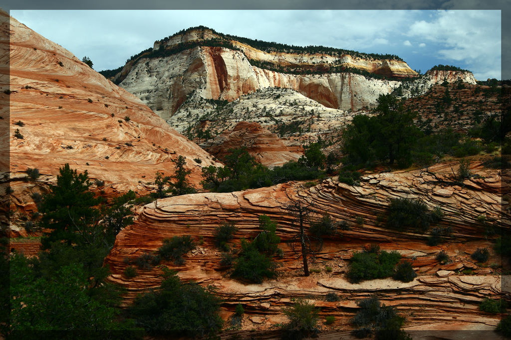 2008-08-02a-Zion NP-091wxc.jpg
