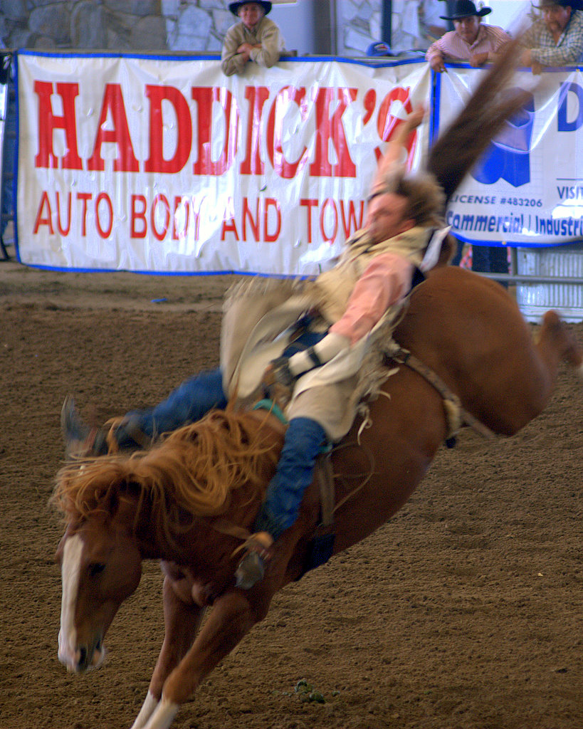 Rodeo042.jpg