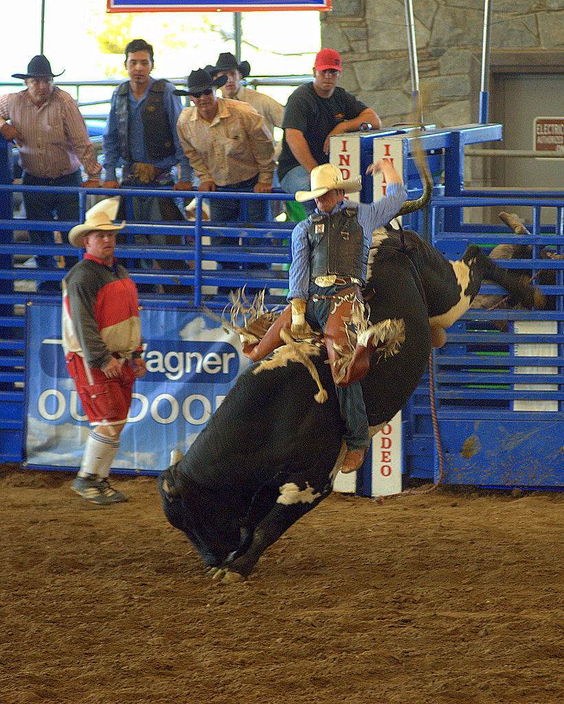 Rodeo2011.jpg