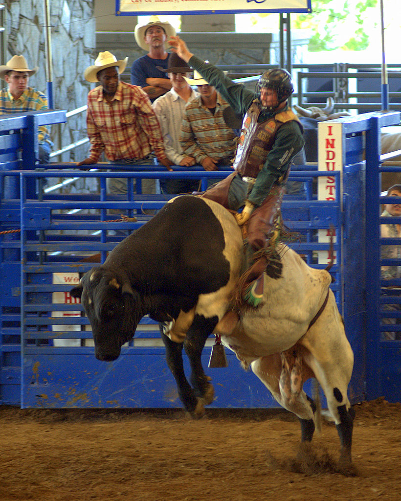 Rodeo2013.jpg